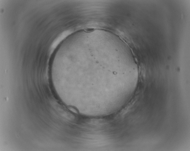 X0000075890292200610062100