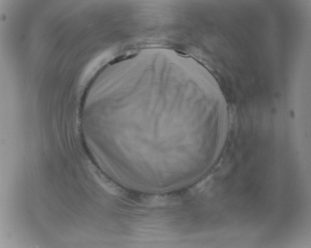 X0000075890293200610062100