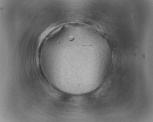 X0000075890294200610062100