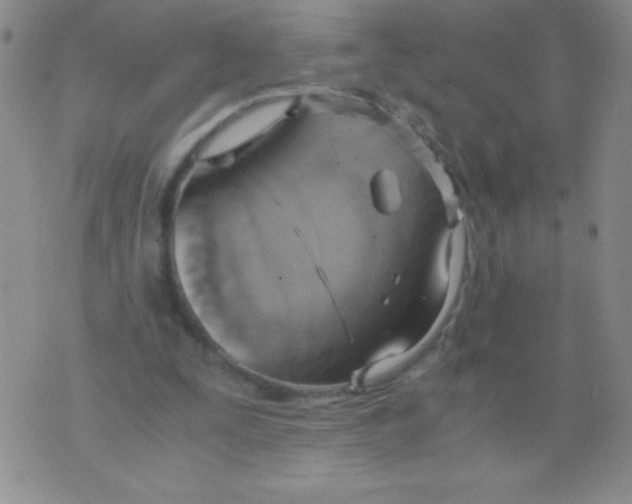 X0000075890295200610062100