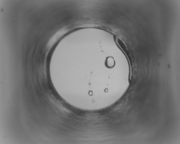 X0000075890296200610062059