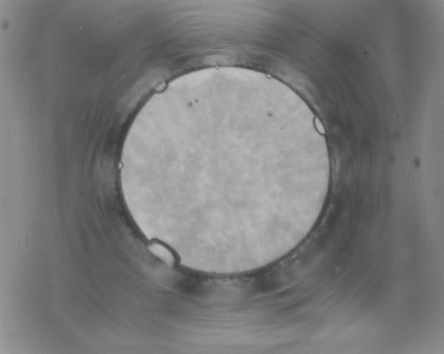 X0000075890297200610062059