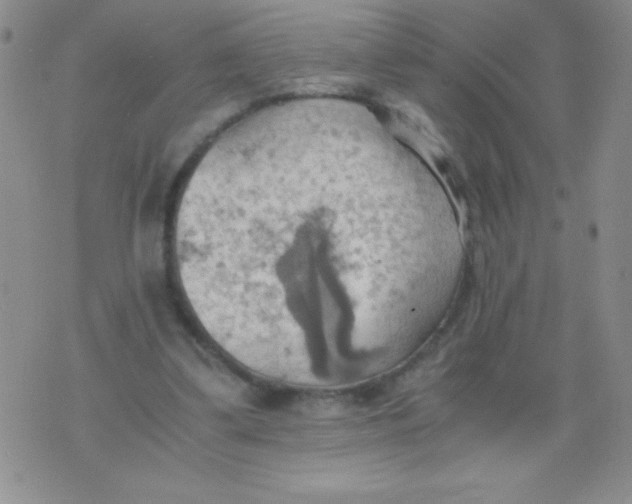 X0000075890299200610062059