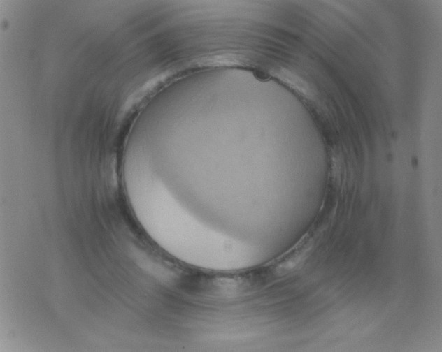 X0000075890302200610062059