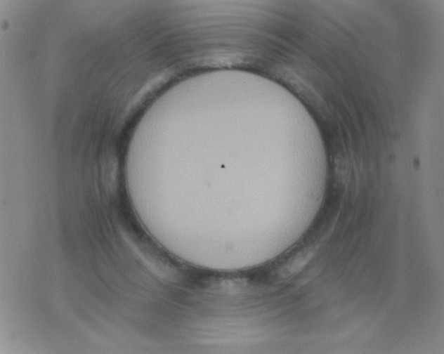 X0000075890304200610062059