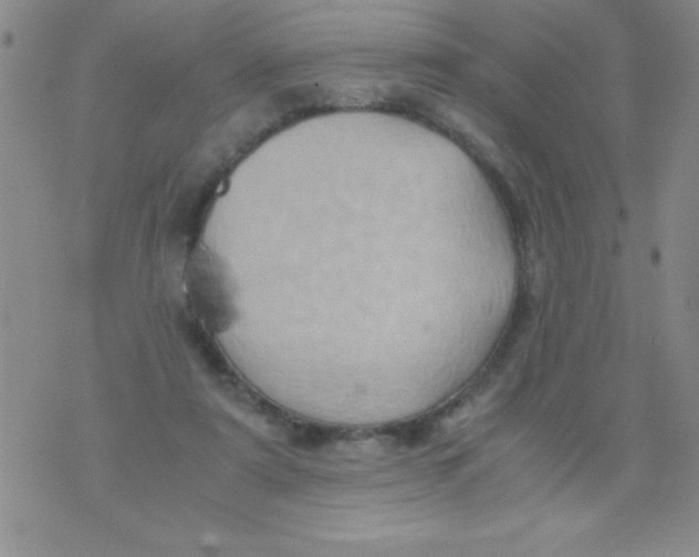 X0000075890307200610062059