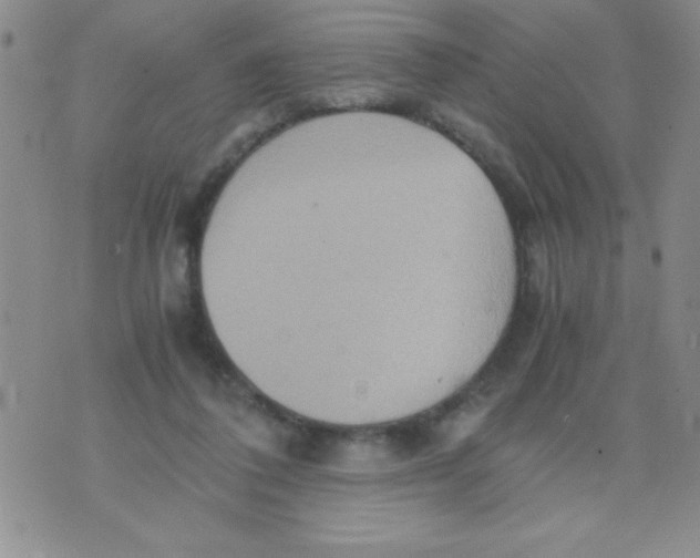 X0000075890308200610062059