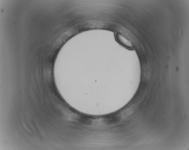 X0000075890309200610062059