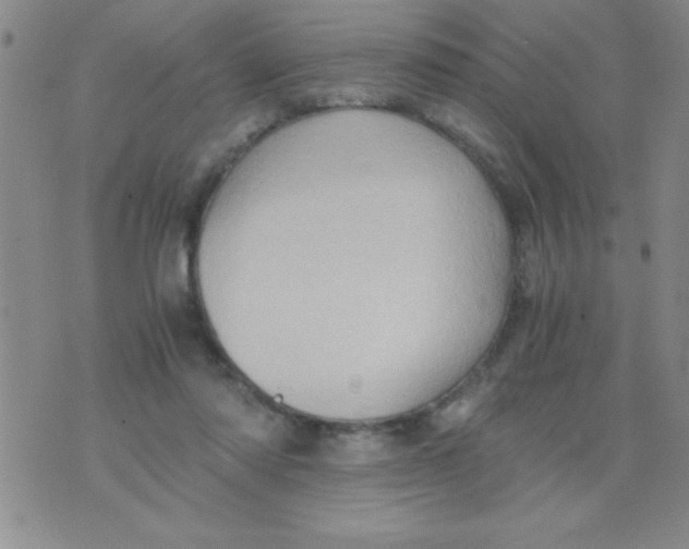 X0000075890310200610062059