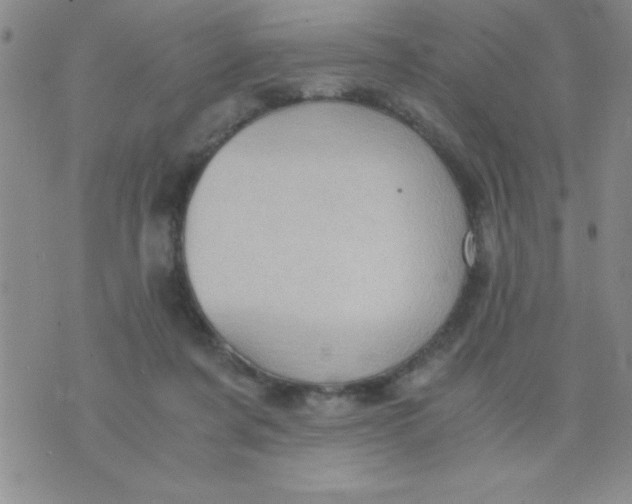 X0000075890311200610062059