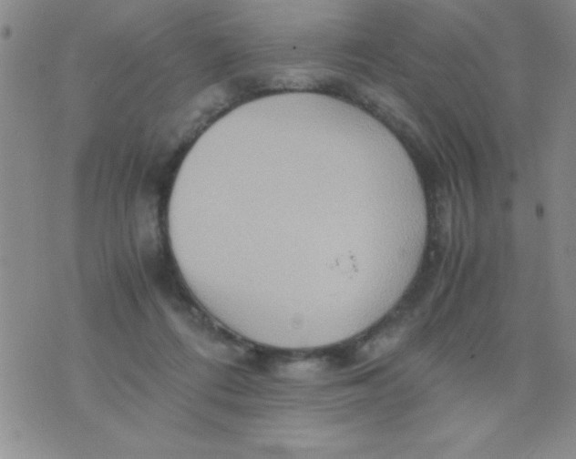 X0000075890312200610062059