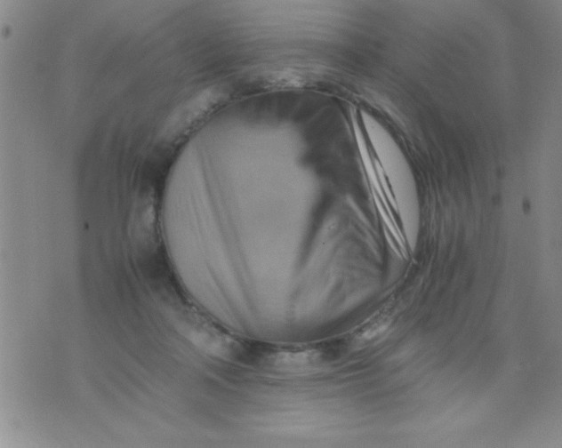 X0000075890314200610062059