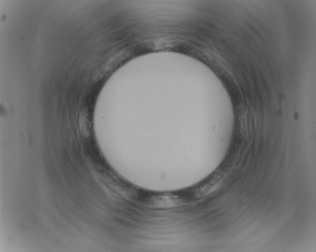 X0000075890316200610062059