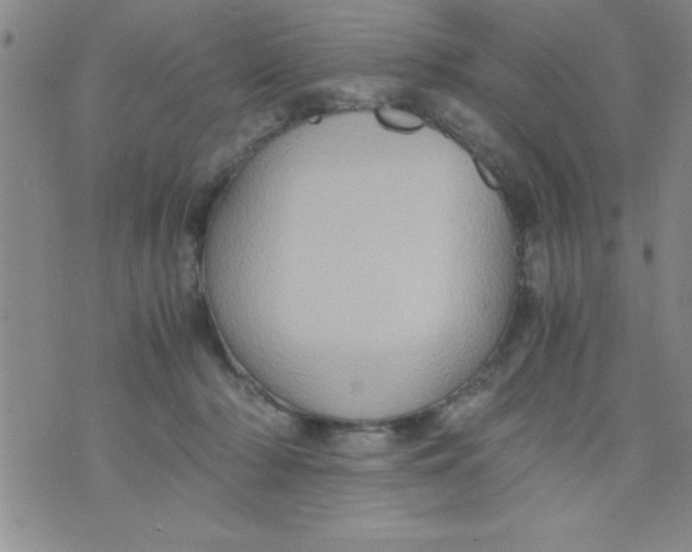 X0000075890318200610062059