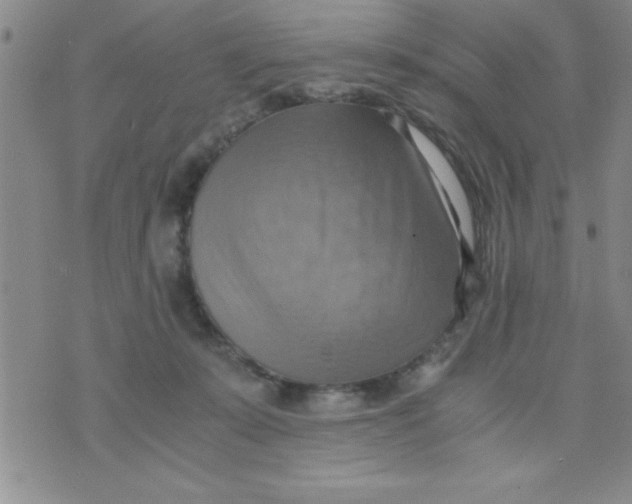 X0000075890319200610062059