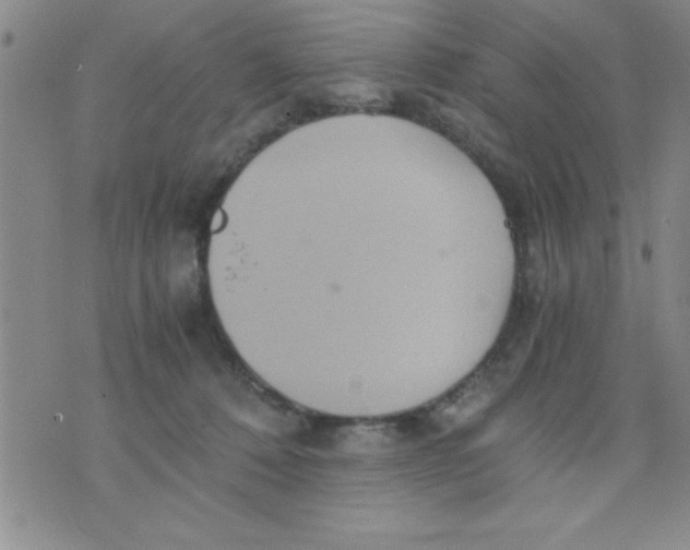 X0000075890320200610062059