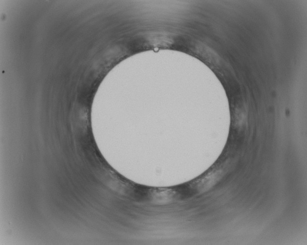 X0000075890321200610062059