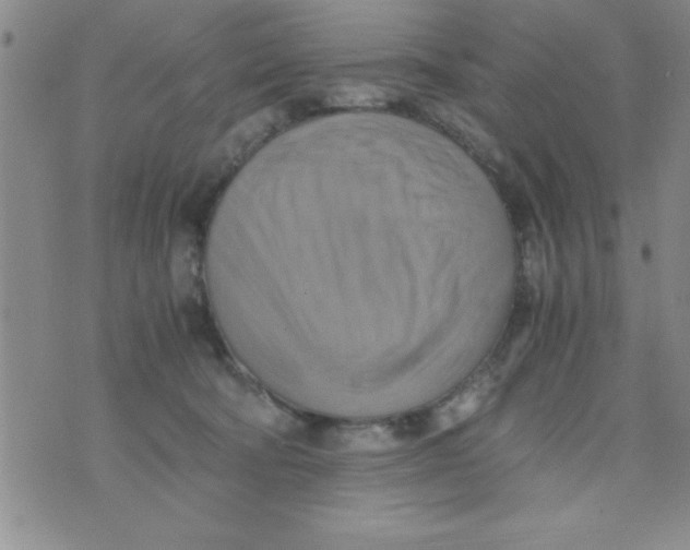 X0000075890322200610062059