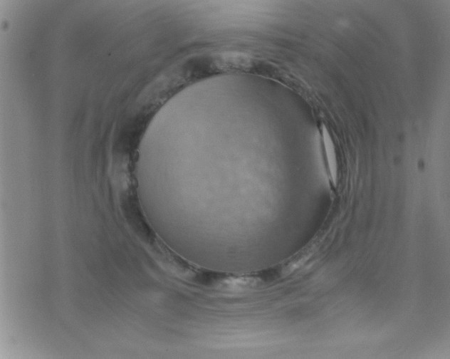 X0000075890323200610062059