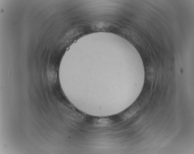 X0000075890324200610062059