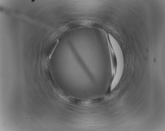 X0000075890325200610062059