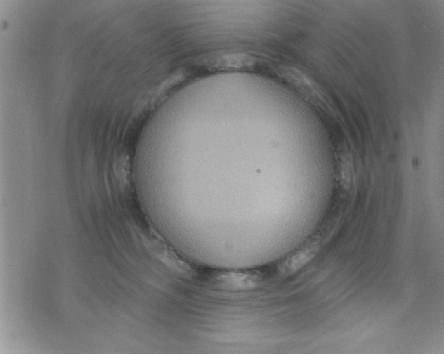 X0000075890326200610062059