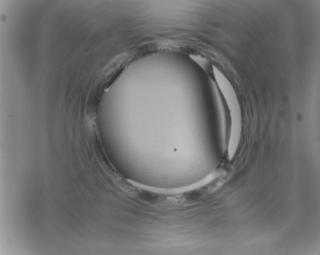 X0000075890329200610062059