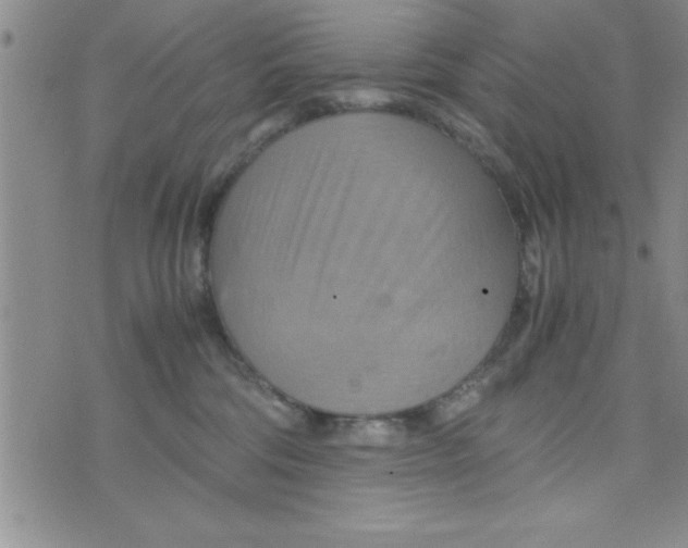 X0000075890330200610062059