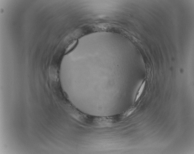 X0000075890331200610062059