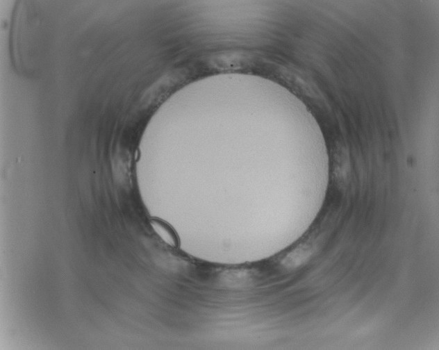 X0000075890332200610062059