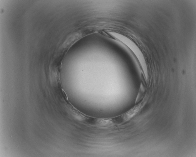 X0000075890333200610062059