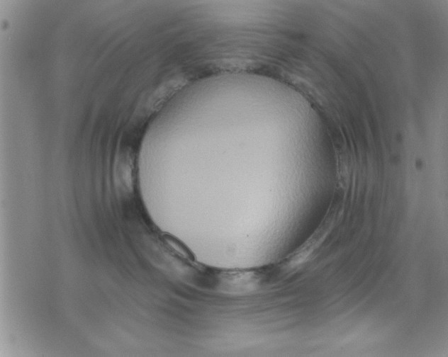 X0000075890334200610062059