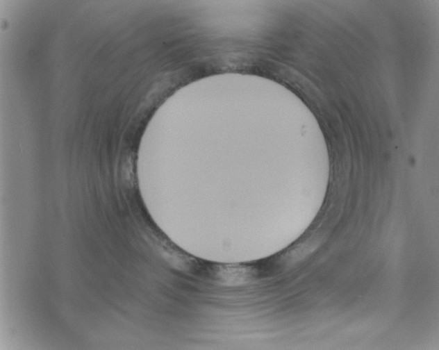 X0000075890336200610062059