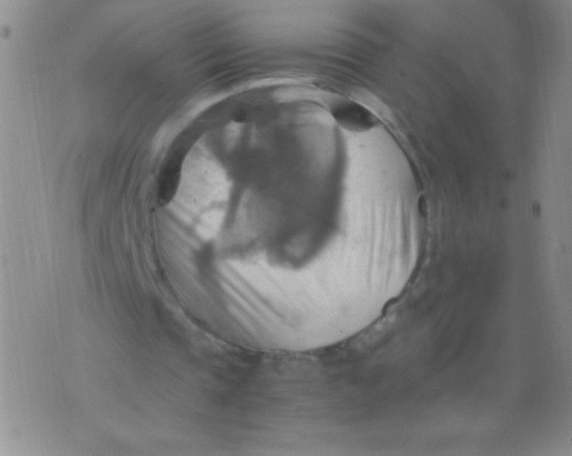 X0000075890337200610062058