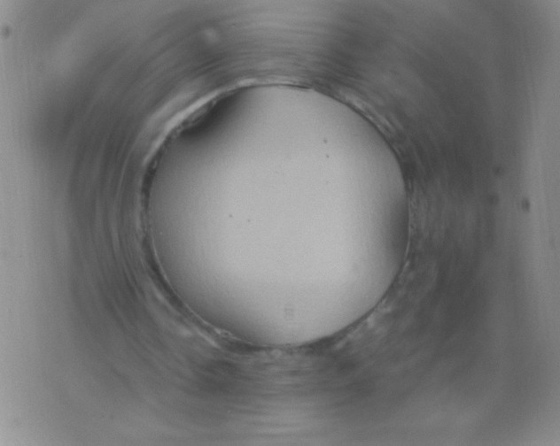 X0000075890338200610062058