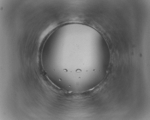 X0000075890344200610062058