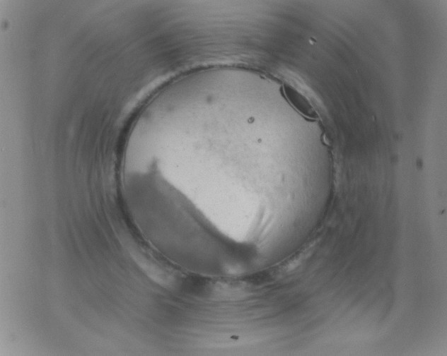 X0000075890346200610062058