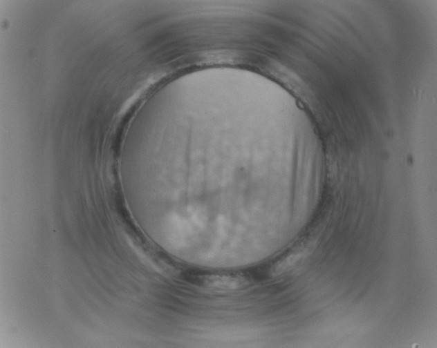 X0000075890347200610062058