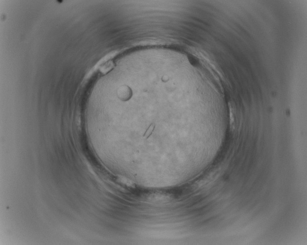 X0000075890348200610062058