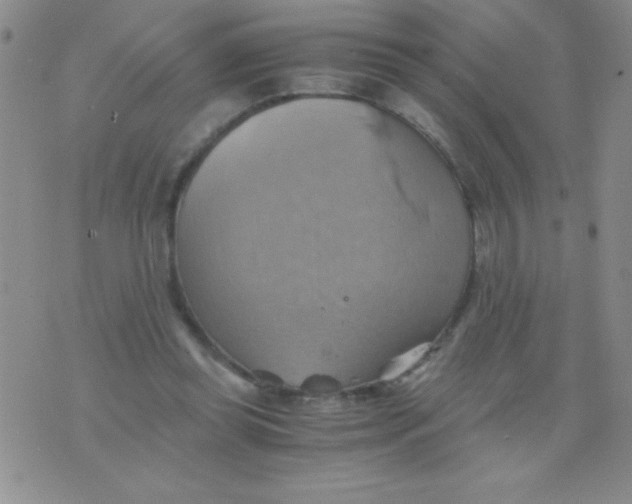 X0000075890349200610062058