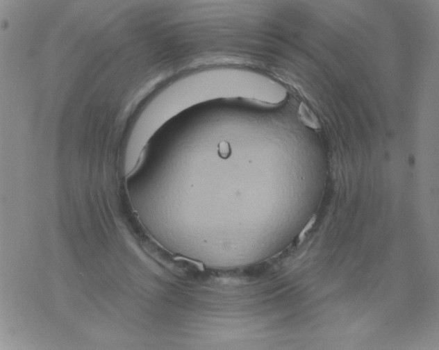 X0000075890352200610062058