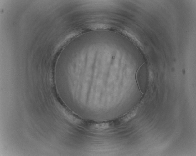 X0000075890353200610062058