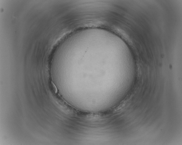 X0000075890354200610062058