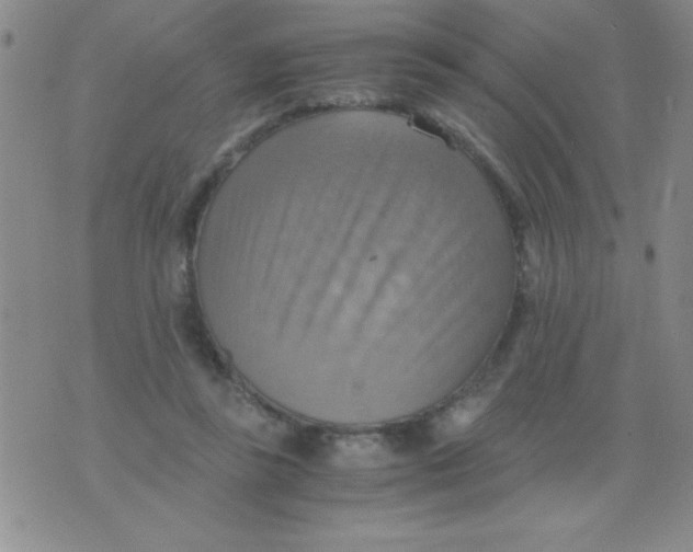 X0000075890355200610062058