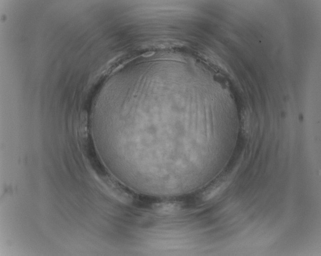 X0000075890356200610062058