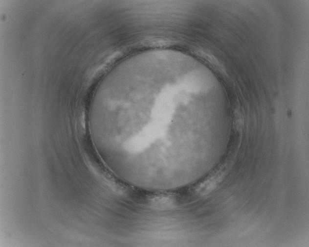 X0000075890358200610062058