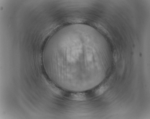 X0000075890359200610062058