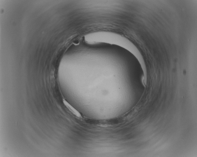 X0000075890360200610062058