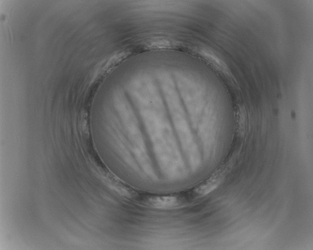 X0000075890361200610062058