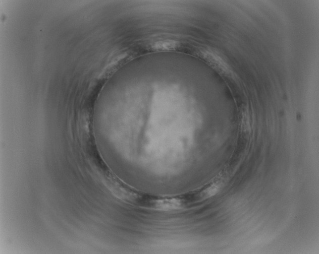 X0000075890363200610062058